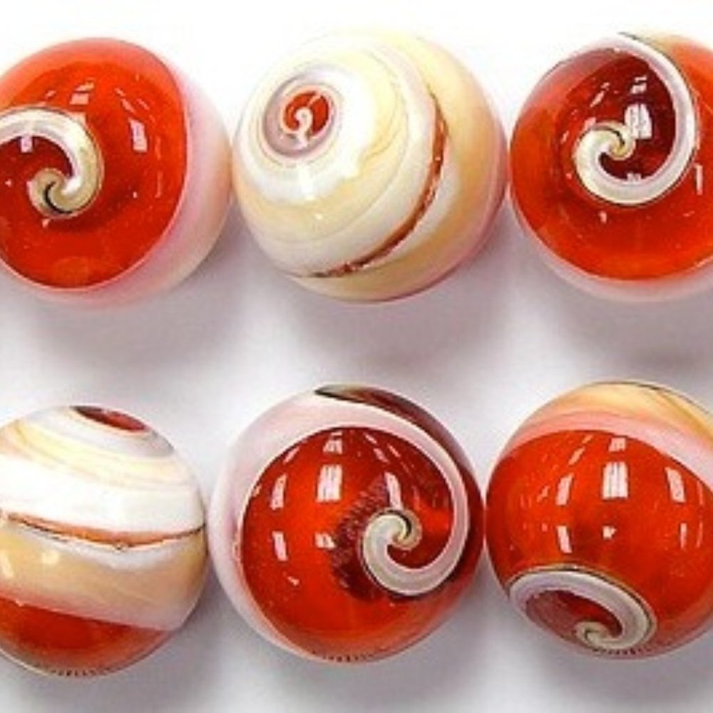 As Low As $2 Eye of Shiva Operculed Resin and Shell Quality Beads 16mm (5)